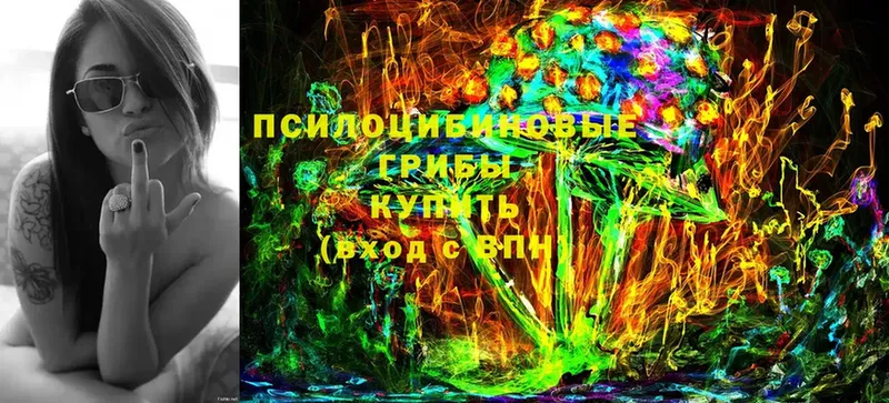 Галлюциногенные грибы Cubensis  ОМГ ОМГ   Северск 